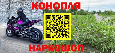 спиды Новозыбков