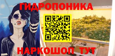 альфа пвп Новокубанск