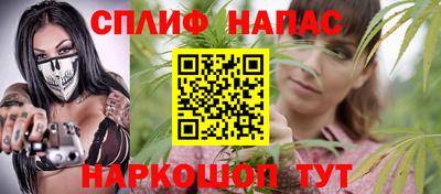 спиды Новозыбков