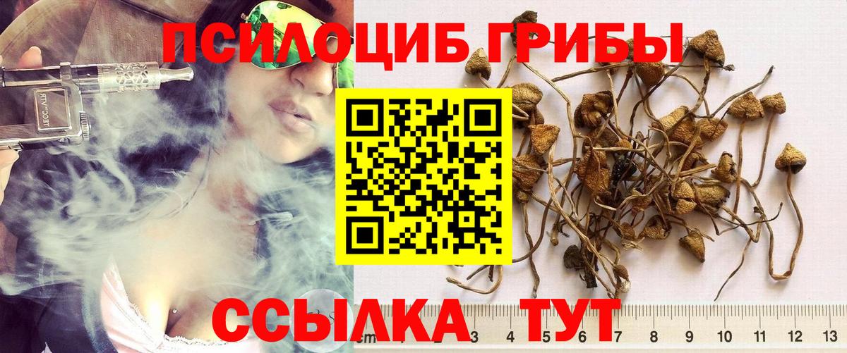 Рыбинск  Галлюциногенные грибы GOLDEN TEACHER  Вход с VPN 